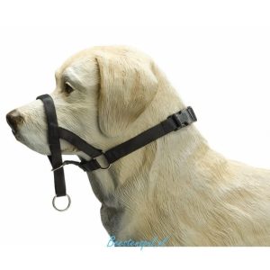 Beeztees – Dog Control – Nylon