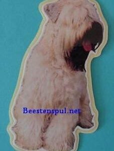 Sticker – Softcoated Wheaten Terrier – 3