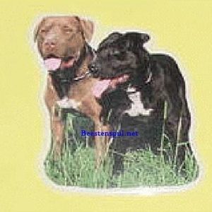 Sticker – Stafford – 17