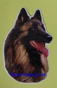 Sticker – Tervuerense Herder – 6