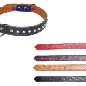Halsband Medan luxer