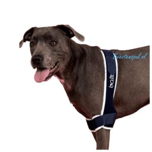 Balto – Brace Elleboog Dubbel (Soft Plus)